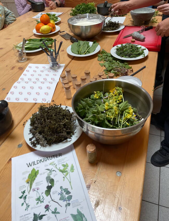 12042025 Naturtag Pusteblume 3