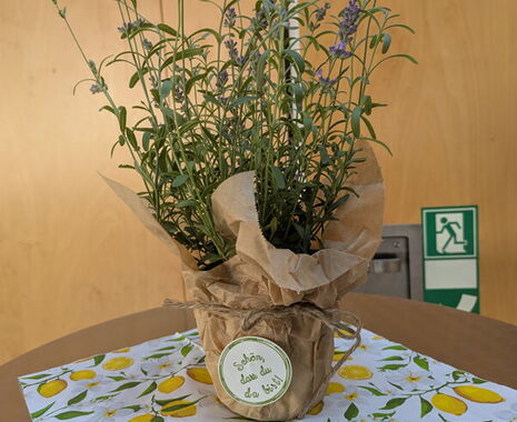Sommerfest 3