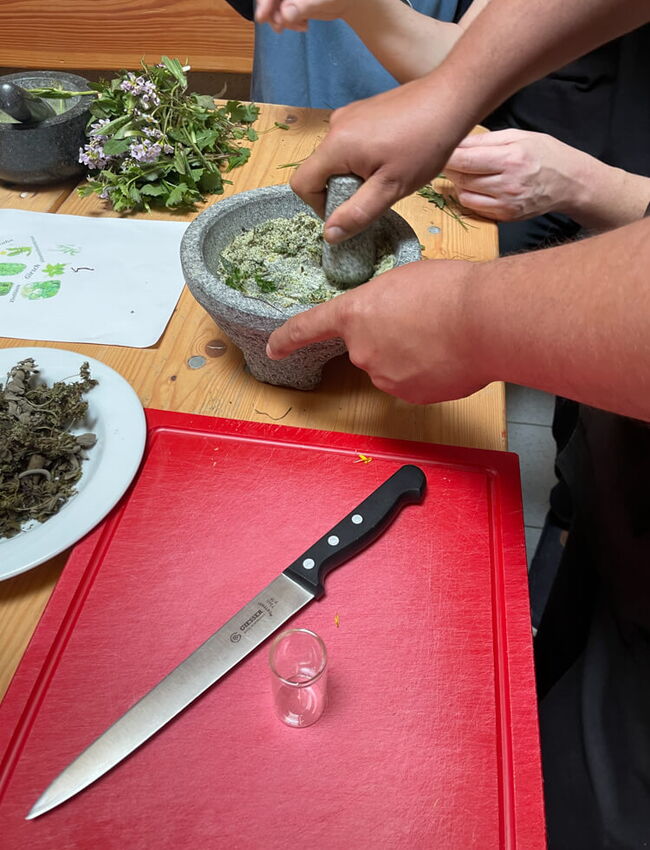 12042025 Naturtag Pusteblume 4