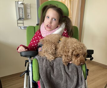 Tiertherapie 1